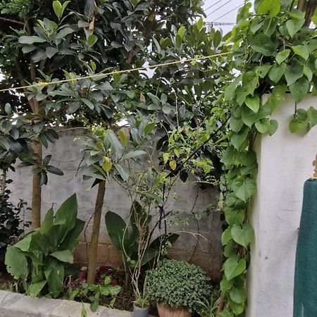 Malgudi Mane Homestay Chikmagalūr Esterno foto