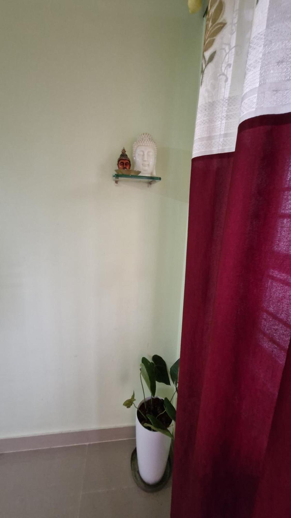 Malgudi Mane Homestay Chikmagalūr Esterno foto