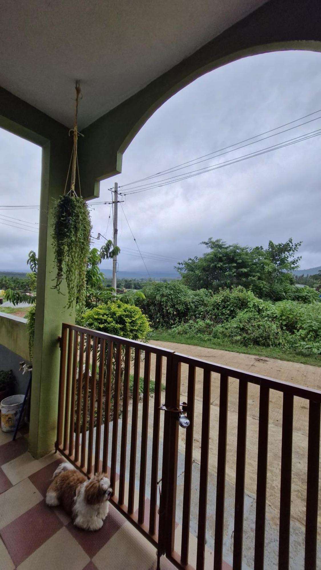 Malgudi Mane Homestay Chikmagalūr Esterno foto