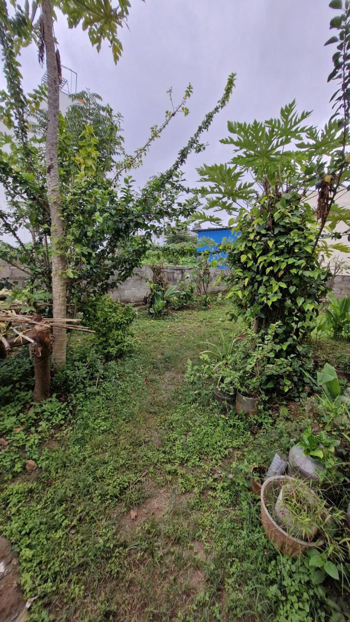 Malgudi Mane Homestay Chikmagalūr Esterno foto